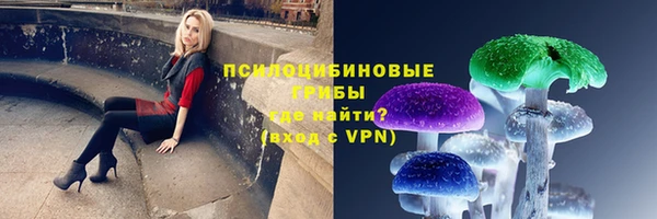 хмурый Лиски