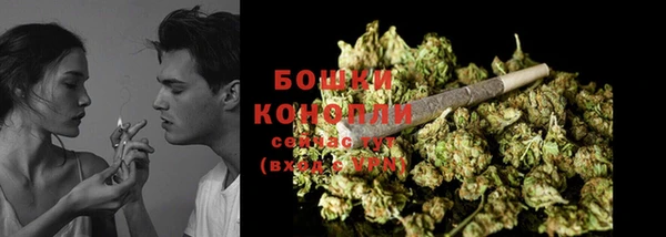 хмурый Лиски