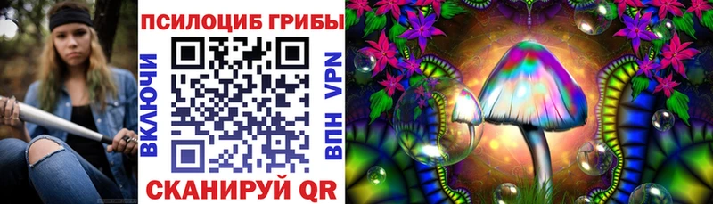 Купить  Балей  Псилоцибиновые грибы Psilocybine cubensis 